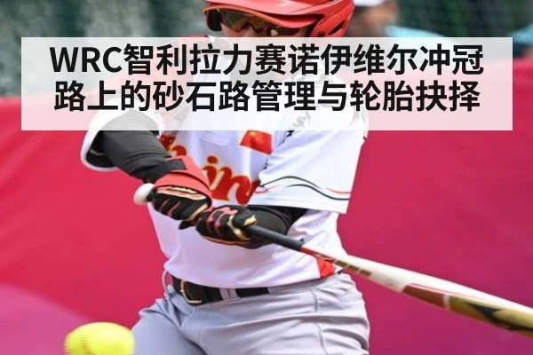 WRC智利拉力赛诺伊维尔冲冠路上的砂石路管理与轮胎抉择